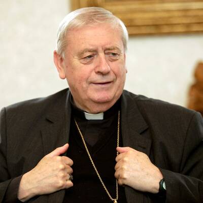 Reaktionen zum Fall Arigona