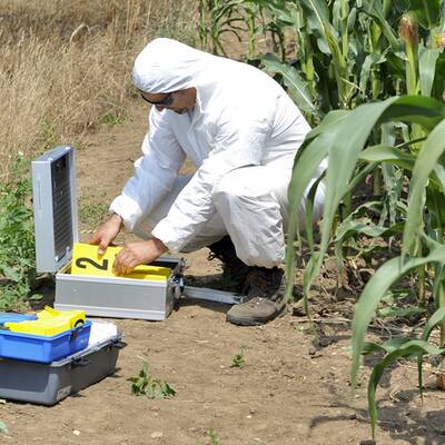 Verbrannte Frauenleiche im Burgenland