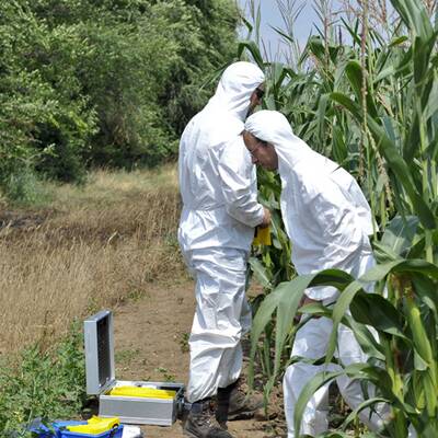 Verbrannte Frauenleiche im Burgenland