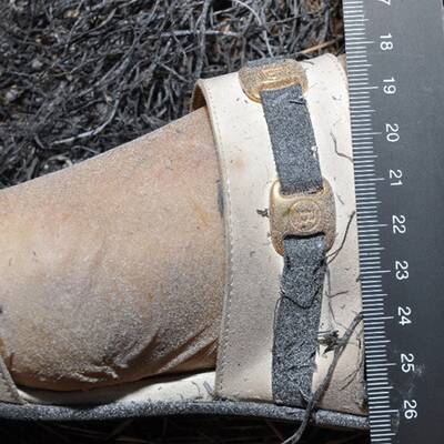 Verbrannte Frauenleiche im Burgenland