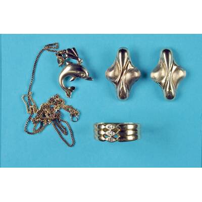 Verbrannte Frauenleiche im Burgenland