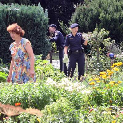 Boa Constrictor in Graz entlaufen