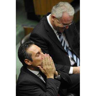 Remlers erste Nationalratssitzung