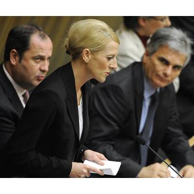 Remlers erste Nationalratssitzung