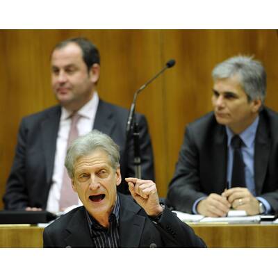 Nationalratssitzung 1.12.2010 - Budget