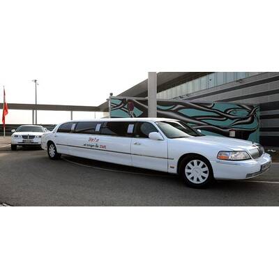 Ruby Rubacuori: Lugners Opernballgast landet in Wien-Schwechat