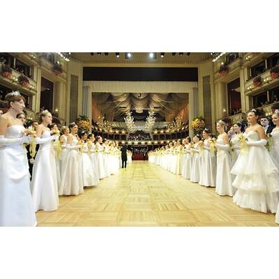 Die schönsten Bilder vom Opernball 2011