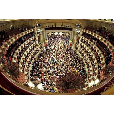 Die schönsten Bilder vom Opernball 2011