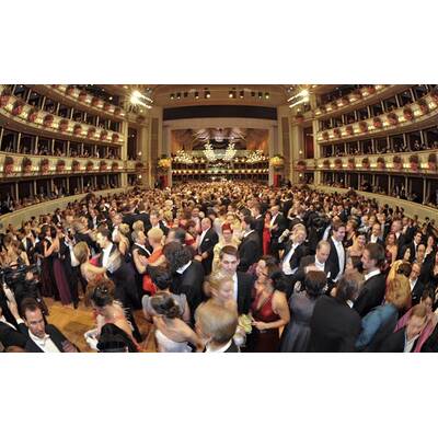 Die schönsten Bilder vom Opernball 2011