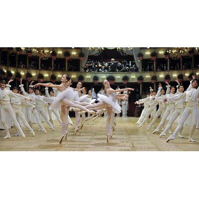 Die schönsten Bilder vom Opernball 2011