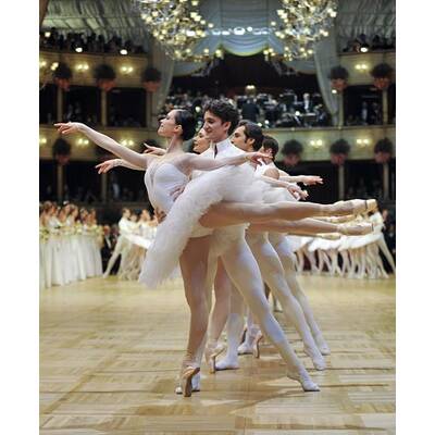 Die schönsten Bilder vom Opernball 2011