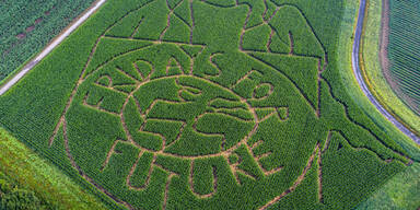Landwirt fr&auml;ste Abbild Thunbergs und 'FridaysForFuture' in Maisfeld