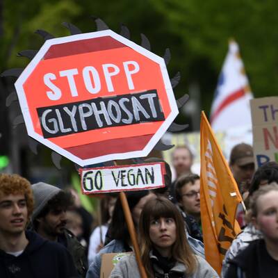 Der große oe24-Jahresrückblick 