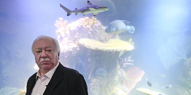 Haus des Meeres: Gr&ouml;&szlig;ere Becken f&uuml;r tropische Meerestiere