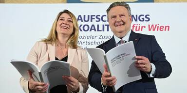 Viel Gegenwind nach 100 Tagen "Aufschwungskoalition"