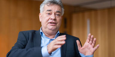 Kogler fordert Stopp der Ostumfahrung Wr. Neustadt