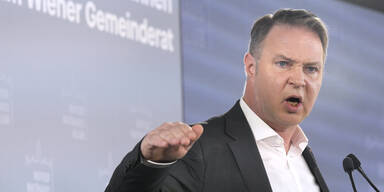 Babler bei SP&Ouml;-Klubtagung