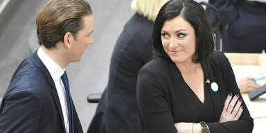 K&ouml;stinger und Kurz im Gespr&auml;ch