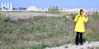 Umweltorganisation wirft Sima gezielte Desinformation zur Seestadt vor