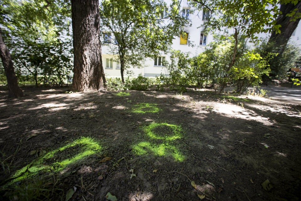 Mann (26) in Wiener Park von Unbekanntem angeschossen