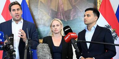 Pröll, Schmidt, Shetty