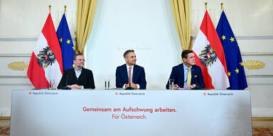 Schellhorn, Hattmannsdorfer, Hanke