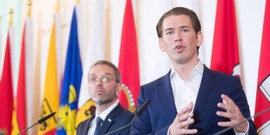 Promiwirt protestiert gegen 'Kurz, Kickl & Co.'