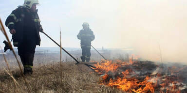 Fl&auml;chenbrand auf Flugfeld in Wiener Neustadt