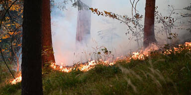 Waldbrand Niederösterreich, Glutnester im Wald