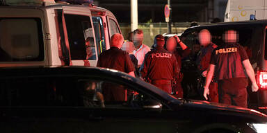 Todes-Sch&uuml;tze als Waffenschmuggler vorbestraft