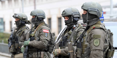 Polizei Cobra