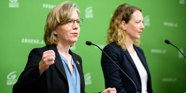 Grüne Lobau-Tunnel Plakat Pühringer Gewessler