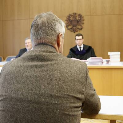 Der große oe24-Jahresrückblick 