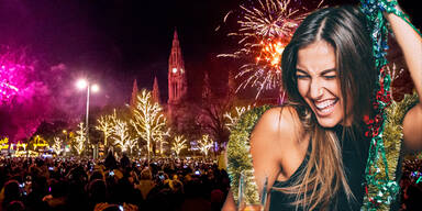 Silvester Wien