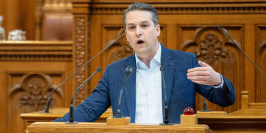 FPÖ-Beschlussantrag: "Wien muss Abschiebe-Hauptstadt werden"