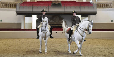 Alexandra Kaszay &uuml;bernimmt Leitung der Spanischen Hofreitschule