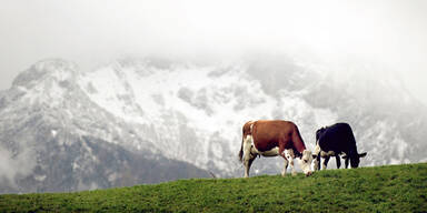 Salzburger uNtersberg