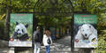 Tiergarten Zoo Schönbrunn Eingang