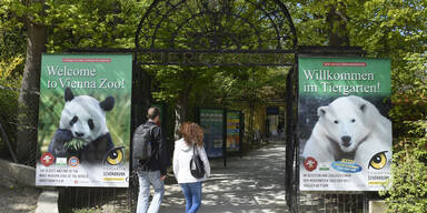 Tiergarten Zoo Schönbrunn Eingang