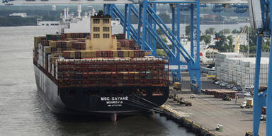 16,5 Tonnen Kokain - Gigantischer Drogenfund in Philadelphia