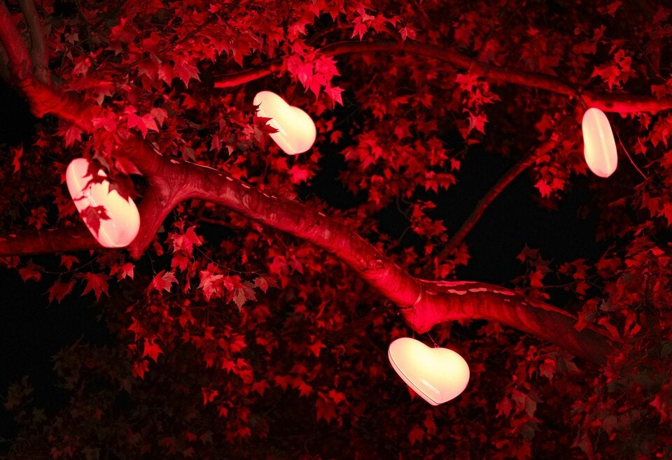 Weltbester Weihnachtsmarkt: Was am Rathausplatz heuer alles geboten wird