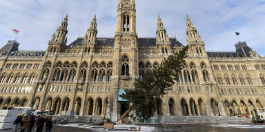 Christbaum vor Wiener Rathaus 2018