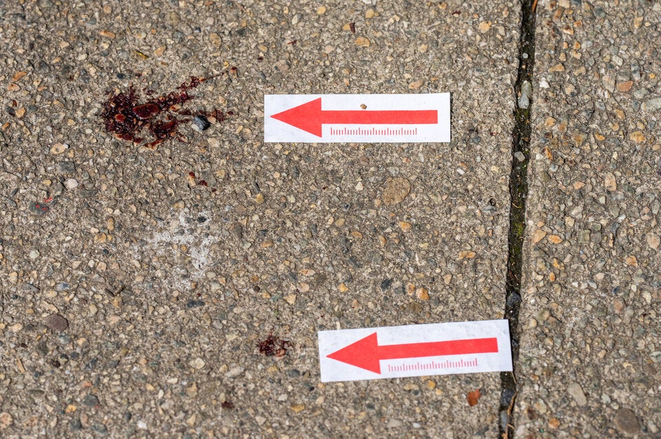 Sind Macheten-Mörder von Wien ins Ausland geflohen?