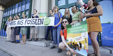 Fridays For Future demonstrierten vor Umweltministerium