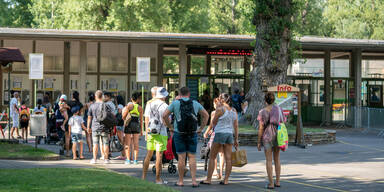 G&auml;nseh&auml;ufel