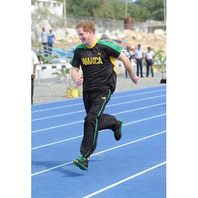 Harrys große Übersee-Tour 