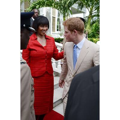 Harrys große Übersee-Tour 