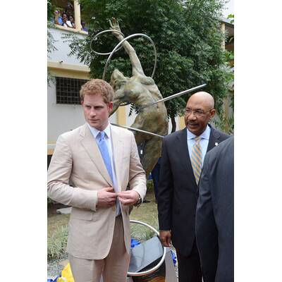 Harrys große Übersee-Tour 