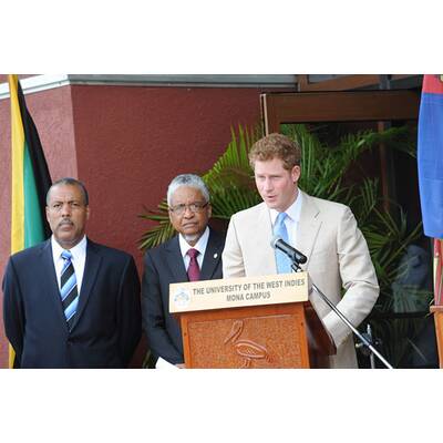 Harrys große Übersee-Tour 