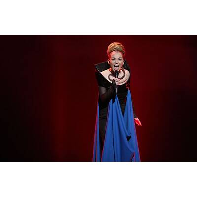 Song Contest 2012 - Die Finalisten